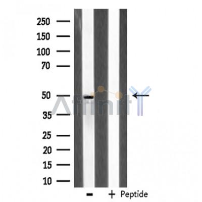 Валидация Affinity DF3076 - 13813
