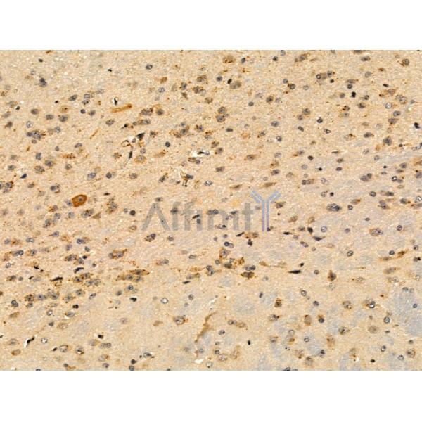 Валидация Affinity DF3133 - 13918