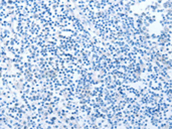 Валидация AssayVector ARM1143(397)