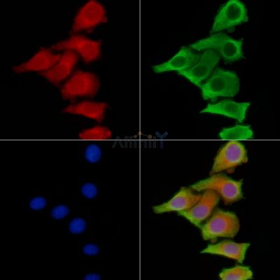 Валидация Affinity DF9032 - 21269