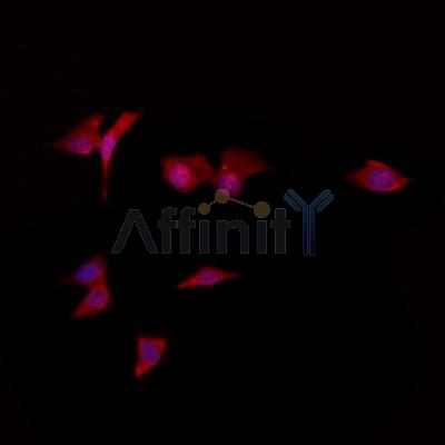 Валидация Affinity DF6621 - 18083