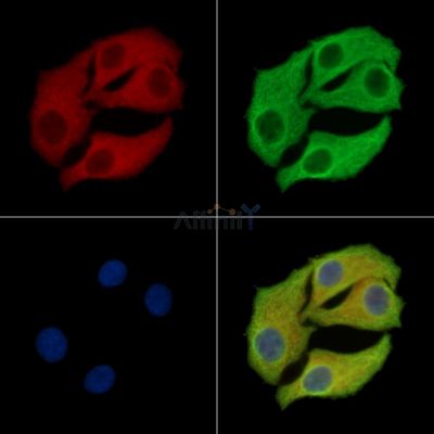 Валидация Affinity DF15913 - 12427