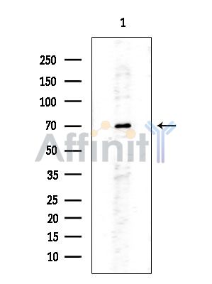 Валидация Affinity DF2243 - 12785