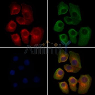 Валидация Affinity DF9923 - 22909