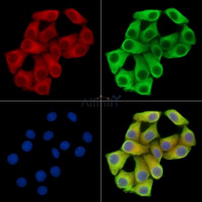 Валидация Affinity DF15206 - 11476