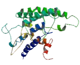 Taste Receptor Type 2 Member 4 (TAS2R4) Taste Receptor Type 2 Member 4 (TAS2R4)