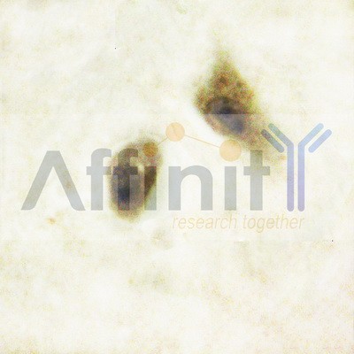 Валидация Affinity AF6113 - 3325