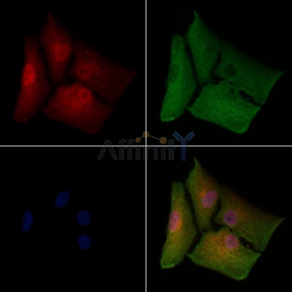 Валидация Affinity DF7961 - 19793