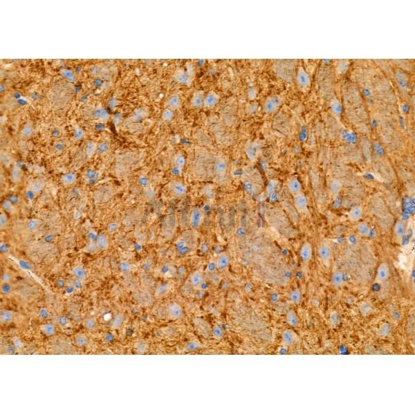 Валидация Affinity DF7336 - 19041