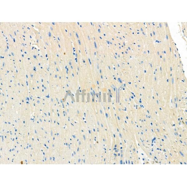 Валидация Affinity AF5200 - 2652