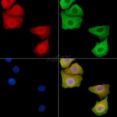 Валидация Affinity DF14074 - 9860