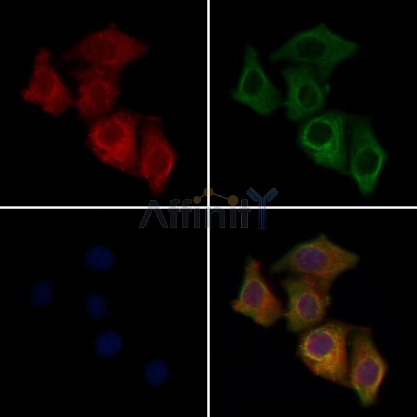 Валидация Affinity DF4508 - 16068