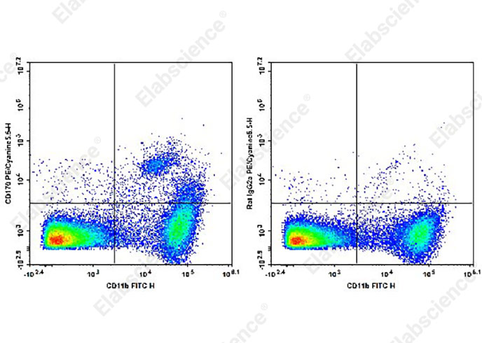 Валидация Elabscience AN00629I