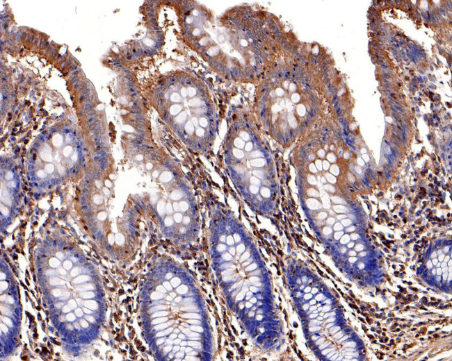 Валидация AssayVector ARM1886(2566)