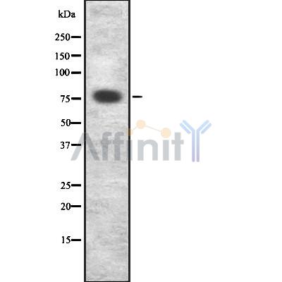 Валидация Affinity DF7891 - 19714