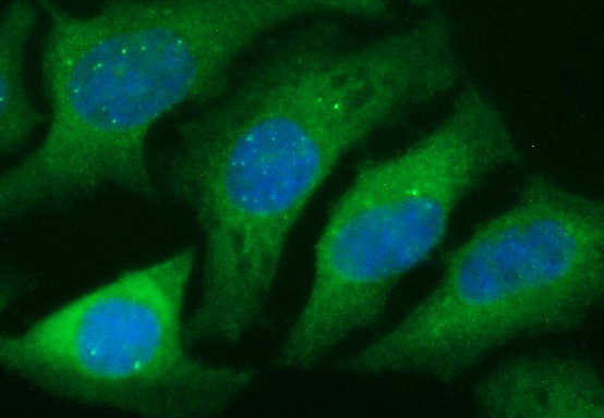 Валидация AssayVector ARM1885(2561)