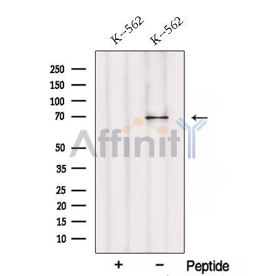 Валидация Affinity DF12727 - 7400