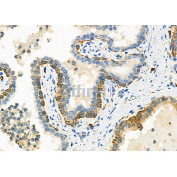 Валидация Affinity DF6479 - 17873