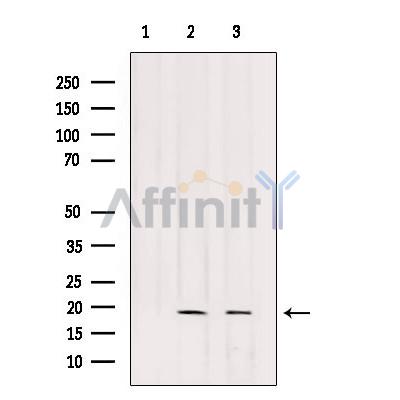 Валидация Affinity DF9458 - 22039