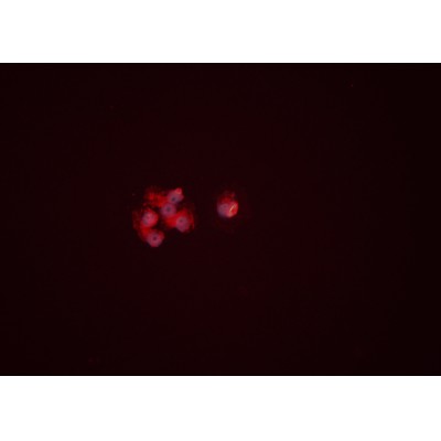 Валидация Affinity DF6191 - 17444