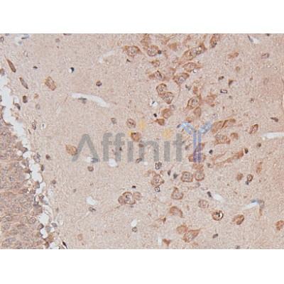 Валидация Affinity DF6431 - 17806