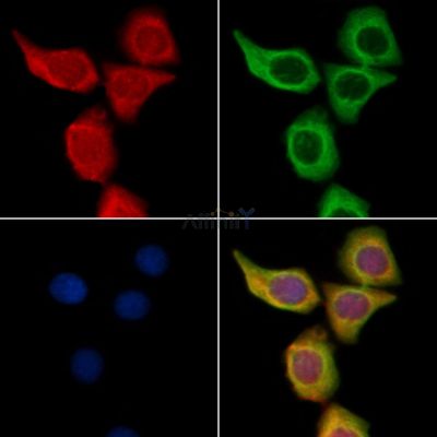 Валидация Affinity AF9123 - 4908