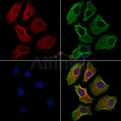 Валидация Affinity DF4646 - 16300