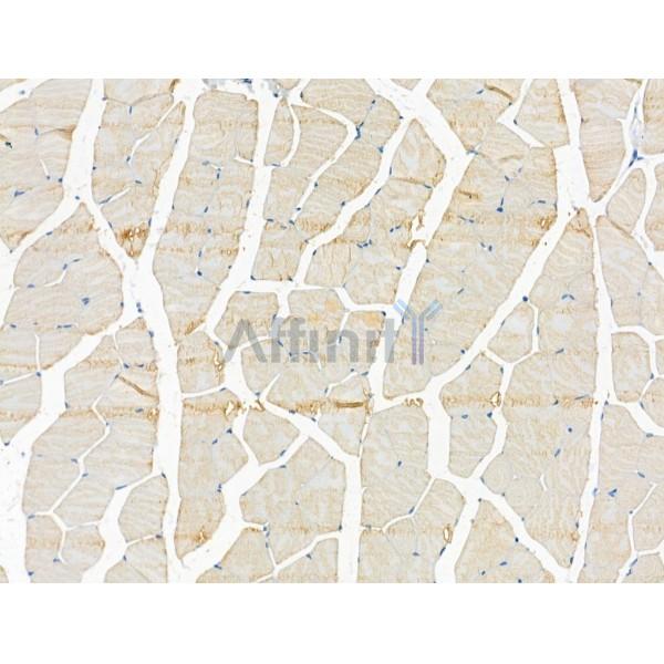 Валидация Affinity DF13331 - 8511