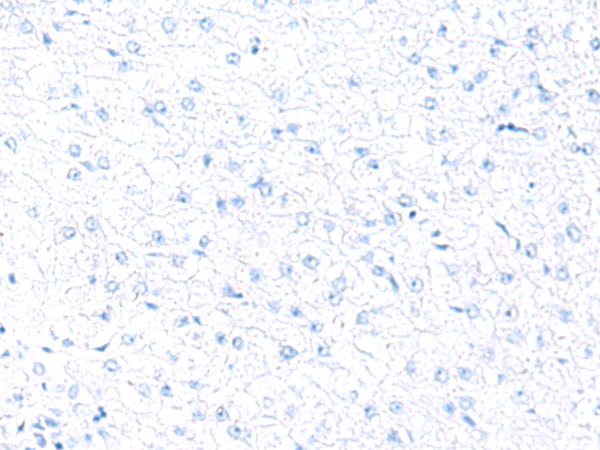 Валидация AssayVector ARM1163(455)