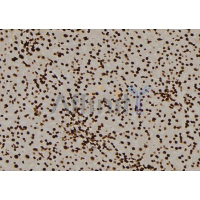 Валидация Affinity DF6208 - 17473