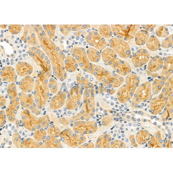 Валидация Affinity DF10180 - 5725