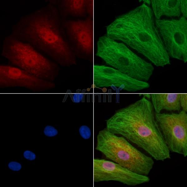 Валидация Affinity AF7531 - 4185