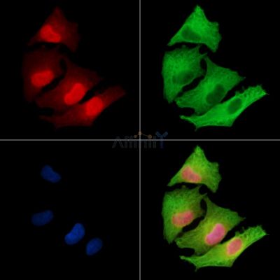 Валидация Affinity DF15956 - 12478