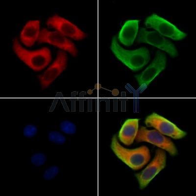 Валидация Affinity DF13215 - 8230