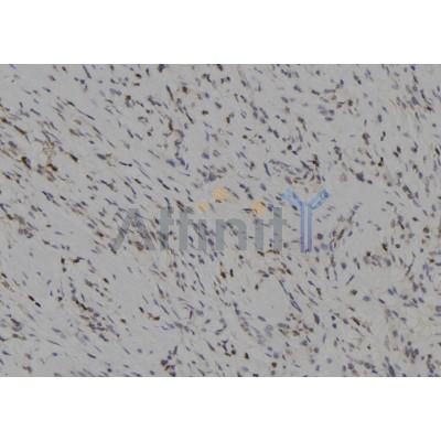 Валидация Affinity DF7005 - 18642