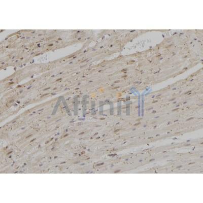 Валидация Affinity DF9123 - 21441