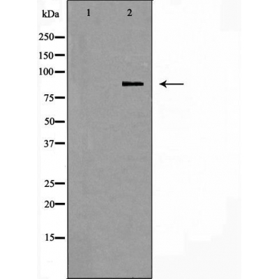 Валидация Affinity DF6002 - 17220