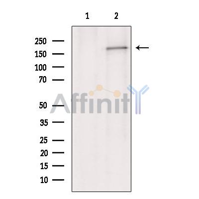 Валидация Affinity DF7148 - 18798