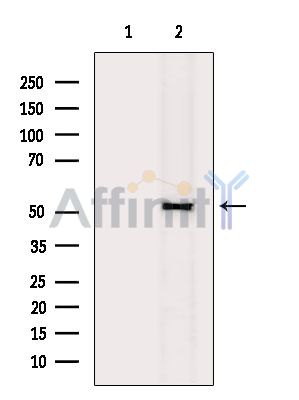 Валидация Affinity DF4375 - 15848