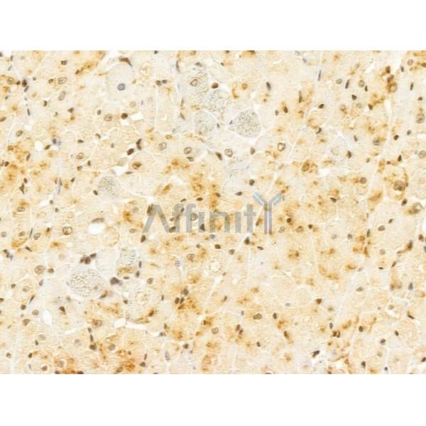 Валидация Affinity DF13005 - 7795