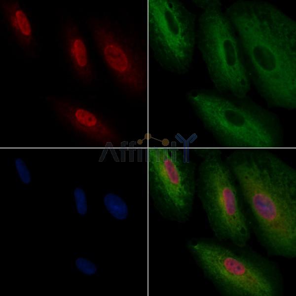 Валидация Affinity DF3141 - 13933