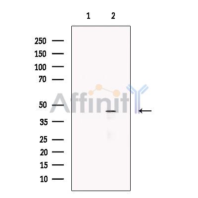 Валидация Affinity DF13535 - 8955