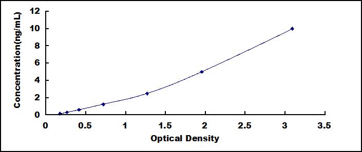 42084