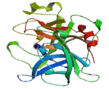 Plasminogen Activator, Tissue (tPA)