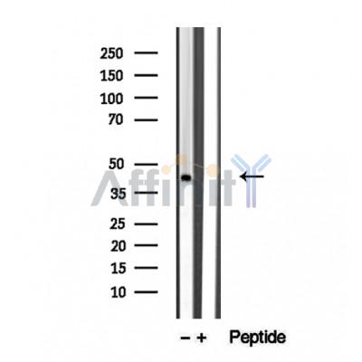 Валидация Affinity DF12333 - 6748
