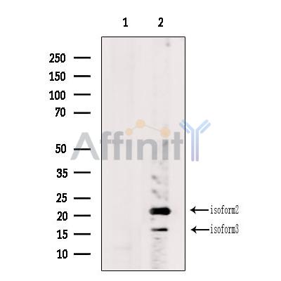 Валидация Affinity DF6728 - 18258