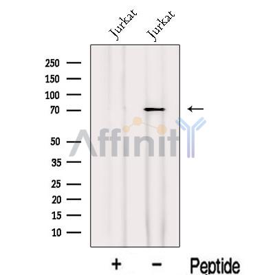 Валидация Affinity DF13094 - 7982