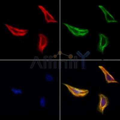 Валидация Affinity DF4185 - 15535