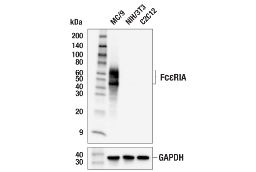 Валидация AssayVector ARM2576(4661)
