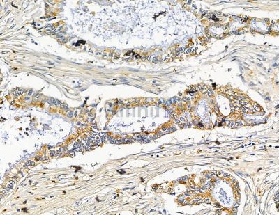 Валидация Affinity DF15533 - 11920